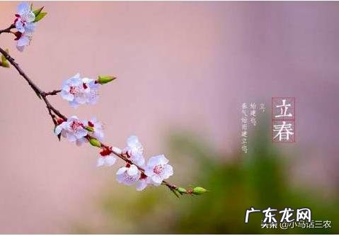 2020年“双闰双春年”,啥意思?