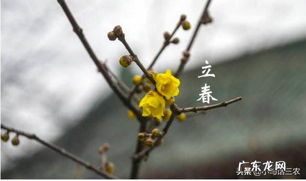 2020年“双闰双春年”,啥意思?