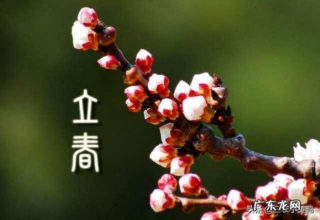 2020年“双闰双春年”,啥意思?