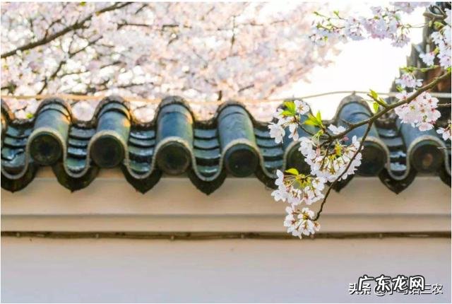 2020年“双闰双春年”,啥意思?