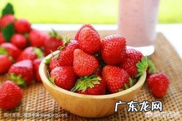 你知道哪些有益于身体健康的食物?