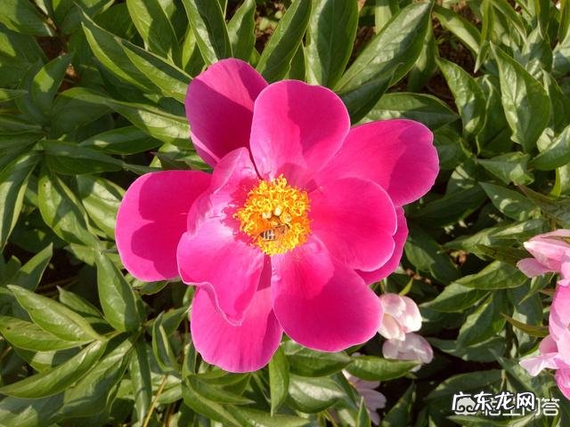 男生会吻一个自己不喜欢的女孩吗?