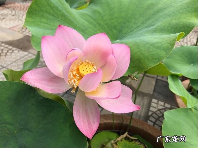 世上最美的照片什么?