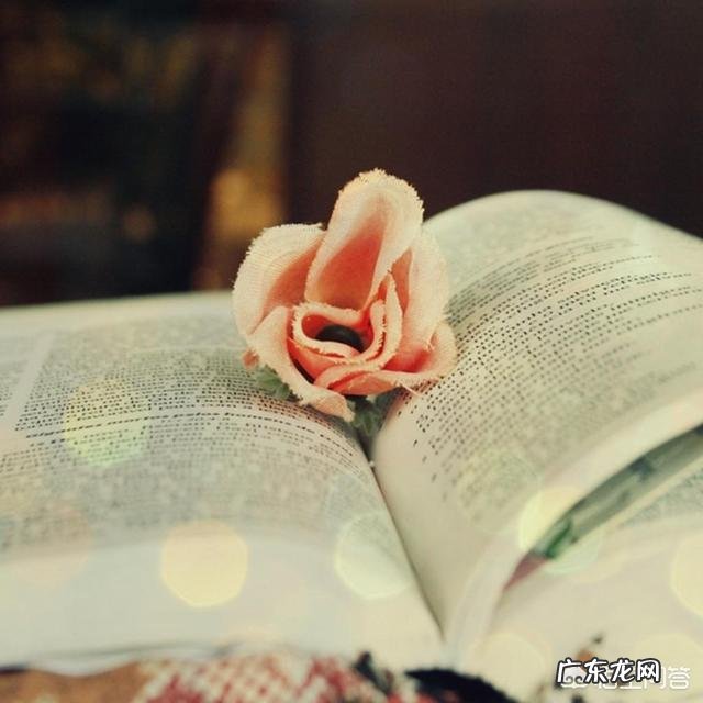 世界名著的好段摘抄怎么写?