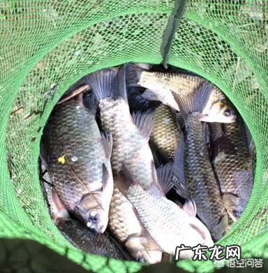 武汉天元钓鱼论坛手机版官网 武汉天元钓鱼论坛手机版