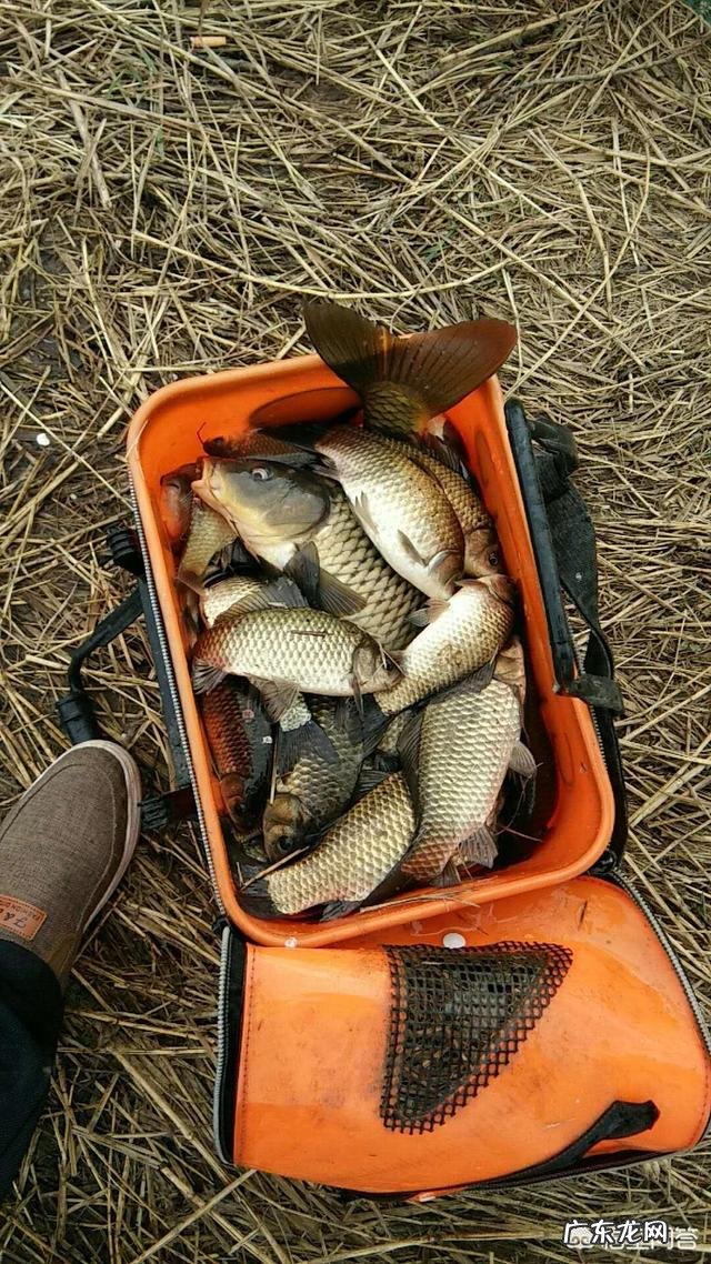 武汉天元钓鱼论坛手机版官网 武汉天元钓鱼论坛手机版