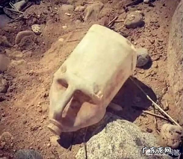 3亿年前三叶虫化石上的人类脚印,到底是不是真的?