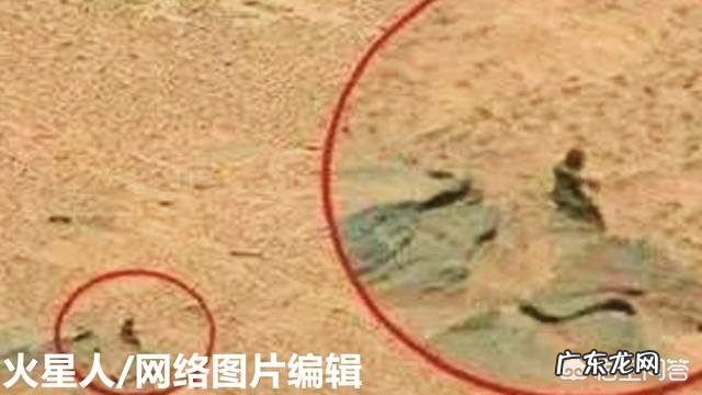 3亿年前三叶虫化石上的人类脚印,到底是不是真的?