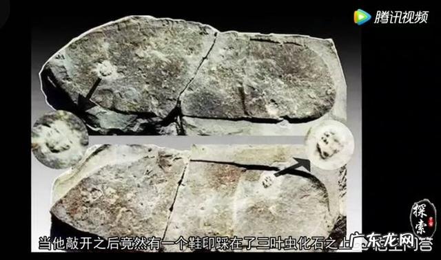 3亿年前三叶虫化石上的人类脚印,到底是不是真的?