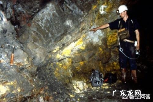 3亿年前三叶虫化石上的人类脚印,到底是不是真的?