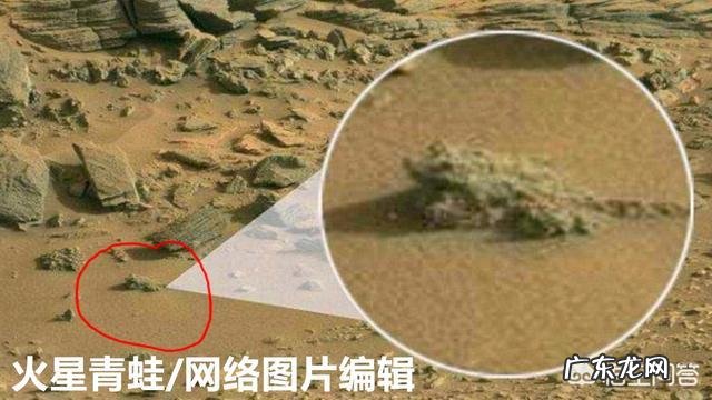 3亿年前三叶虫化石上的人类脚印,到底是不是真的?