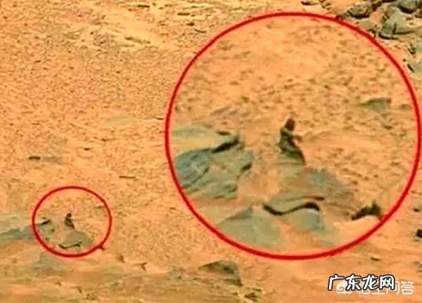 3亿年前三叶虫化石上的人类脚印,到底是不是真的?