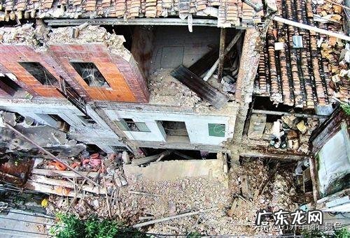 杨金锵会被判刑吗?