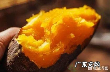 吃哪些食物可以减肥、瘦身、美容、养颜、排毒?