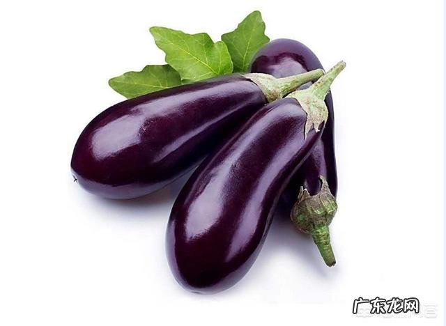 吃哪些食物可以减肥、瘦身、美容、养颜、排毒?