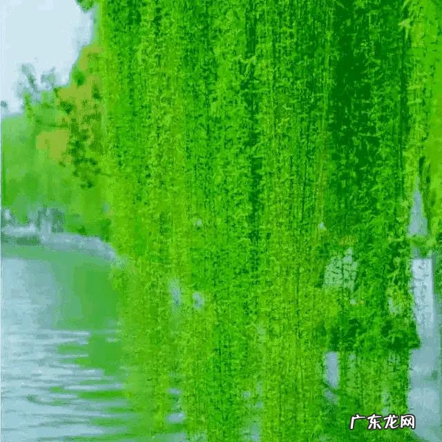 你有没有听着歌就会想到很多事的时候?你想到的都是好的事情,还是坏的事情,会是满满的回忆吗?