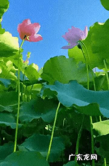 你有没有听着歌就会想到很多事的时候?你想到的都是好的事情,还是坏的事情,会是满满的回忆吗?