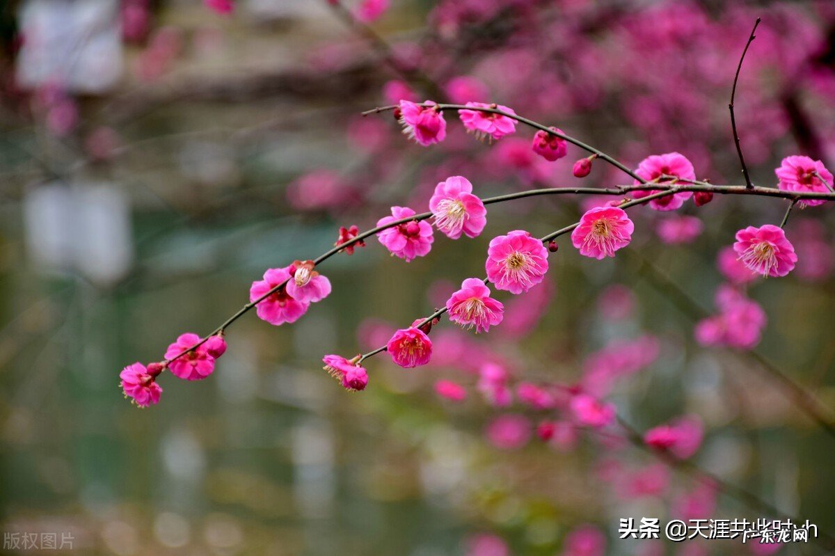 你有没有听着歌就会想到很多事的时候?你想到的都是好的事情,还是坏的事情,会是满满的回忆吗?