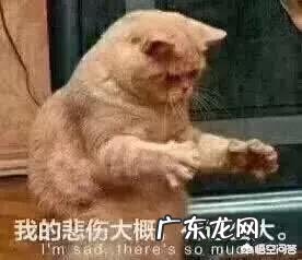 有了男朋友还能和别的男生出去旅游吗?