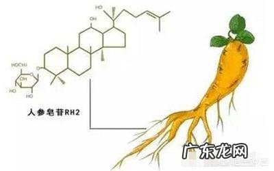 护肤品中添加的中药提取物等成分，真的对皮肤有用吗？