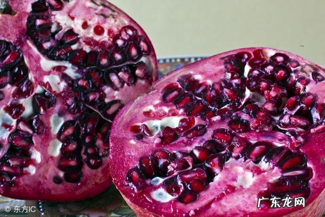 石榴皮能喂鸡吗?有什么作用?