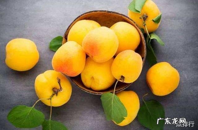 油桃品种大全介绍7月份油桃 油桃品种哪个好