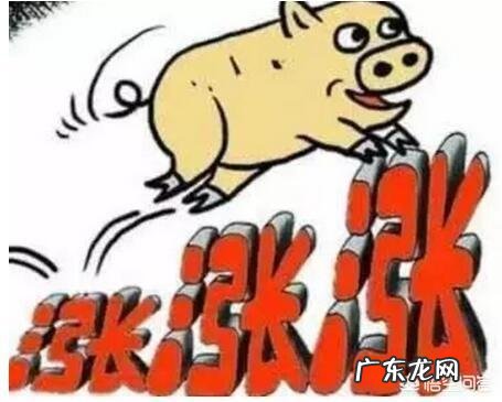 6月22日，东北三省猪价经历两连降，多省份持平，后期的行情走势如何？你怎么看？