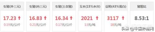 6月22日，东北三省猪价经历两连降，多省份持平，后期的行情走势如何？你怎么看？