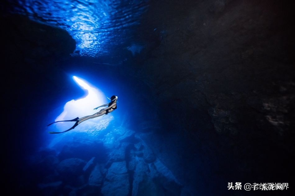 人们都梦想有一颗自由的心,去做为啥这么难?