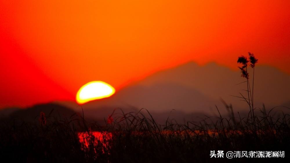 人们都梦想有一颗自由的心,去做为啥这么难?