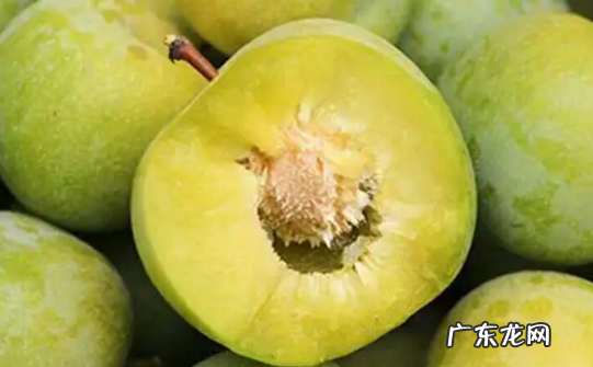 最好吃的李子品种排名前10名 目前最好吃的李子品种