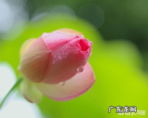 为什么男生小便不需要用纸?