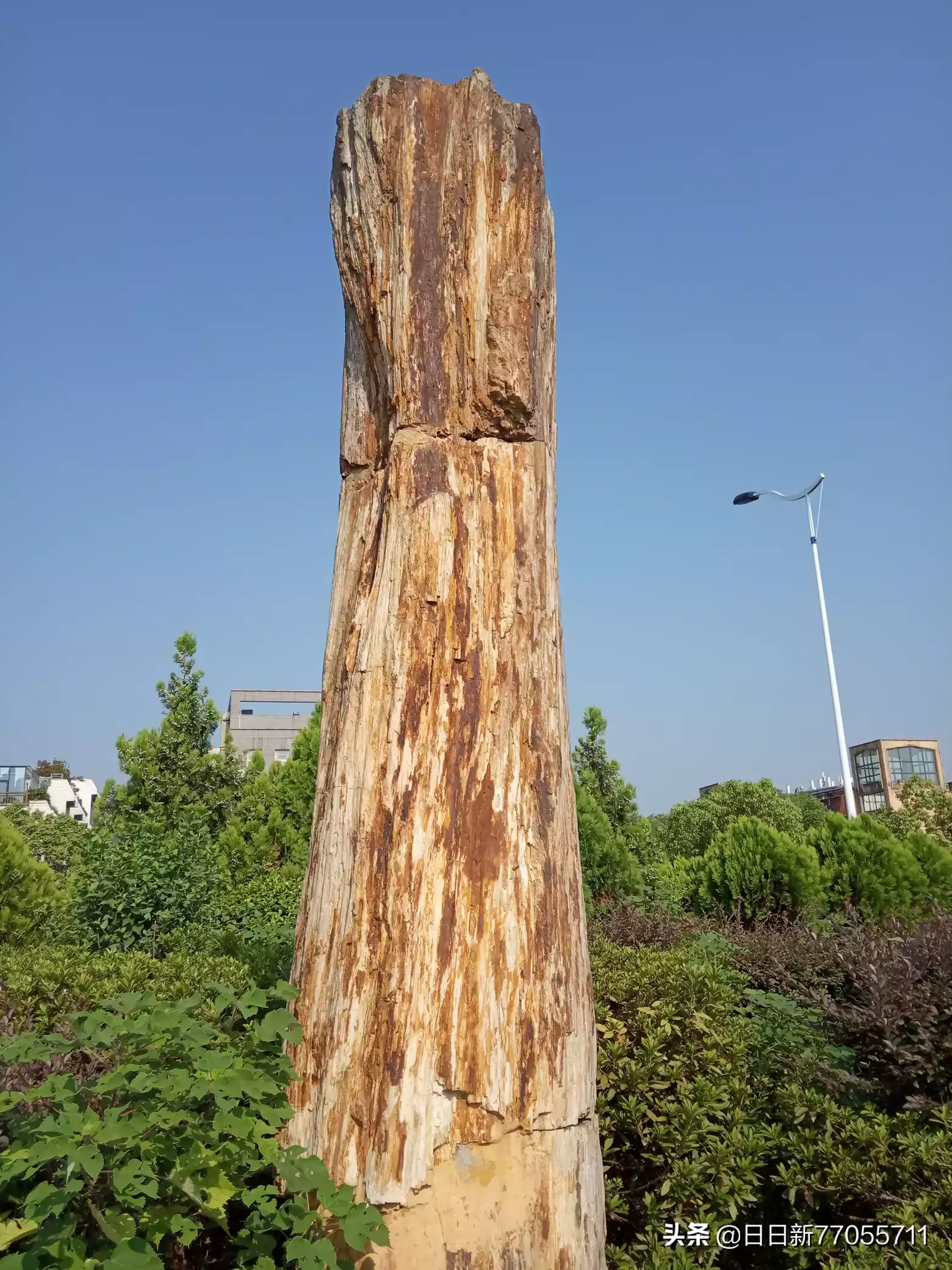 你写的三行情书怎么样?