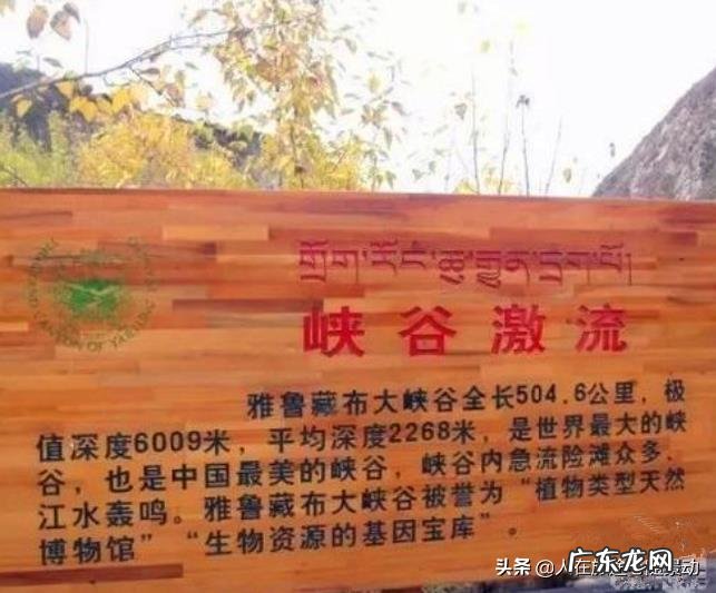 中国最美的峡谷是哪里？