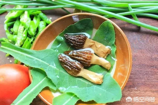 今年蔬菜价格是否会一直涨?