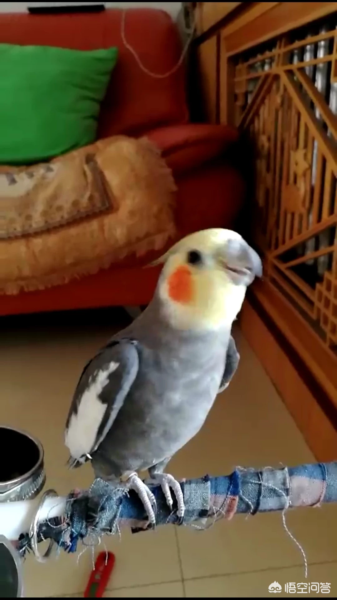 为什么看到别人笑自己也会控制不住地想笑?