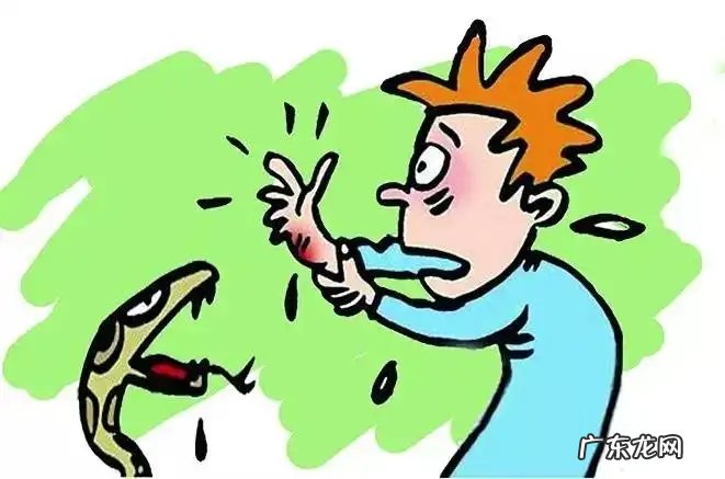 什么是最致命的有毒动物?