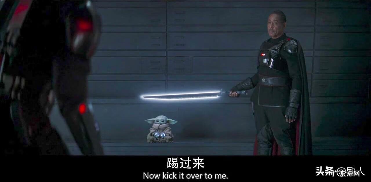 宝宝好官网 尤达宝宝官网