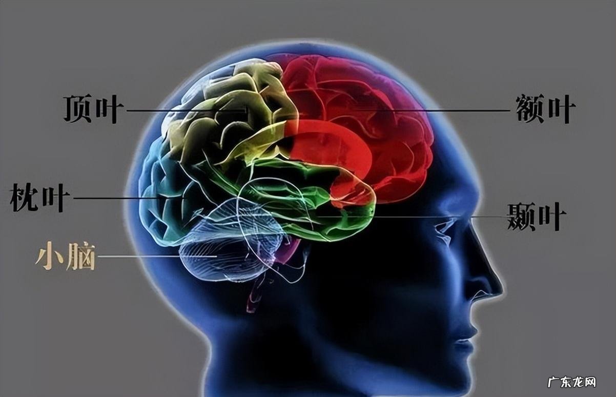 世界上真的有“鬼”吗 为何我们会看到“鬼”