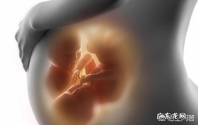 为什么双胎不用做唐氏筛查和四维彩超?医生说没有意思?