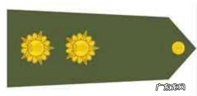 印度军衔等级划分表 印度军衔标志图片