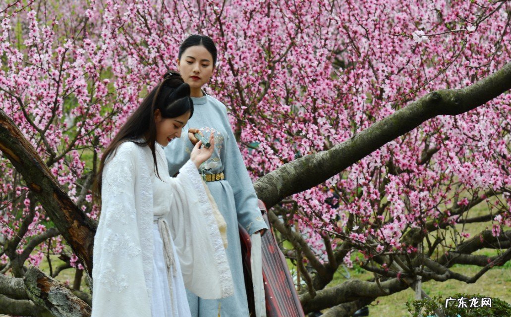 “白衣卿相”柳永对宋词的贡献有什么?他只是一个寻花问柳之人吗?