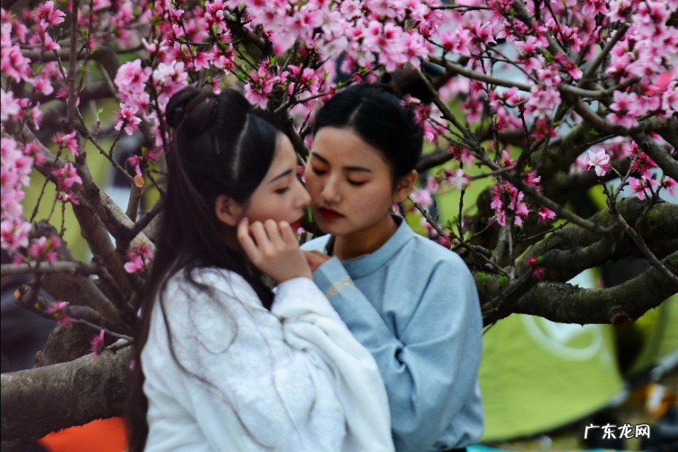 “白衣卿相”柳永对宋词的贡献有什么?他只是一个寻花问柳之人吗?