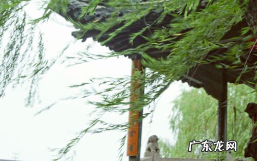 送别王之涣古诗赏析简短 送别王之涣古诗赏析视频