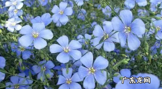 天才一般在几月出生 天才在几月份出生