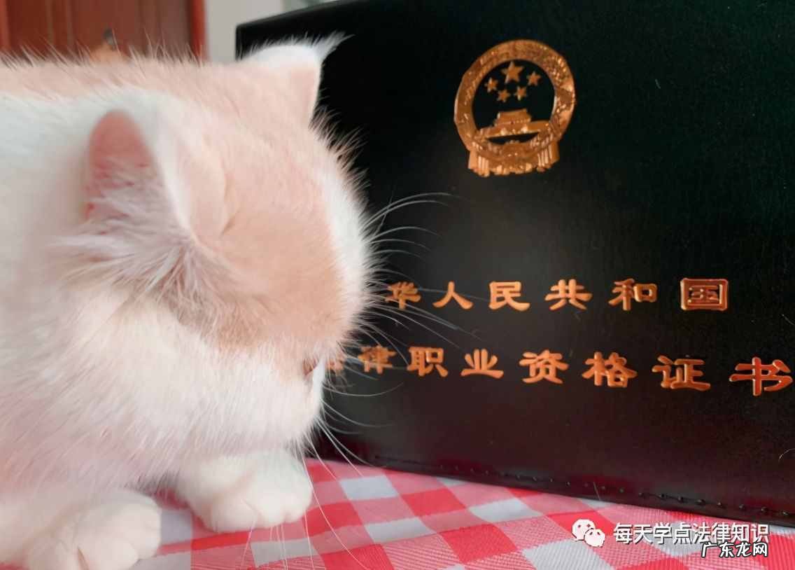 司法考试难度有多大 知乎 司法考试通过率是多少 考试难度大吗