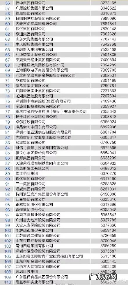 中国100强民营企业有哪些,营业收入和净利润是多少?