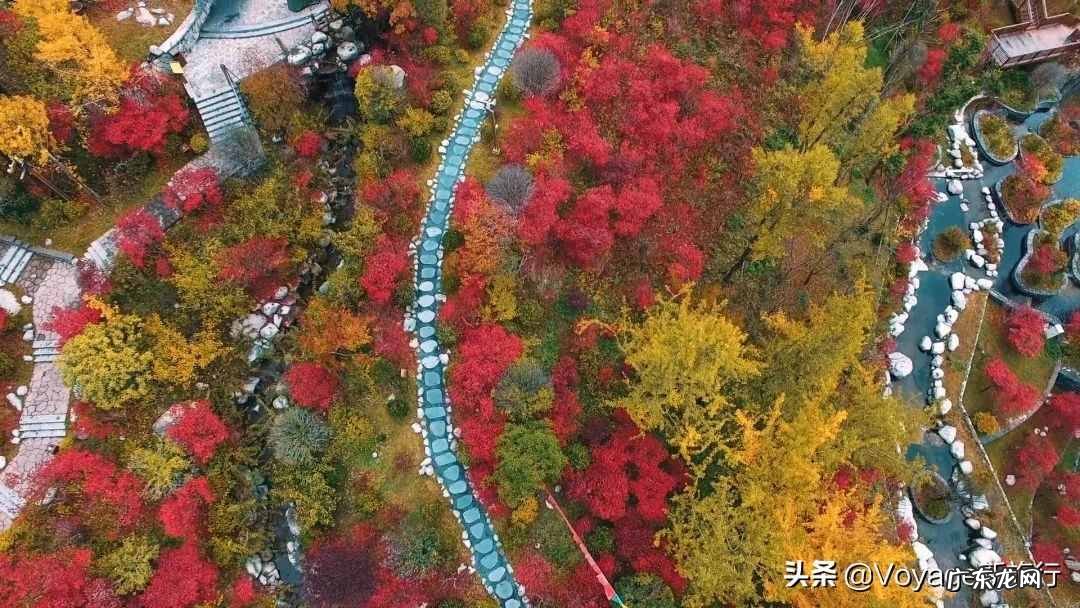 养生主题客房 度假型酒店的特点