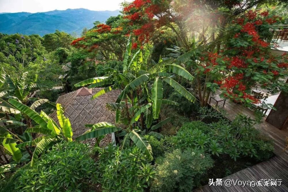 养生主题客房 度假型酒店的特点