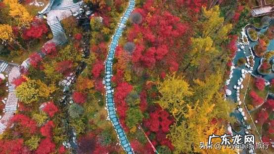 养生主题客房 度假型酒店的特点